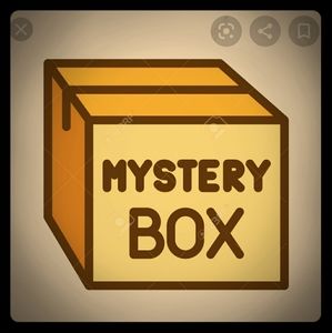 Mystery box for travel size items